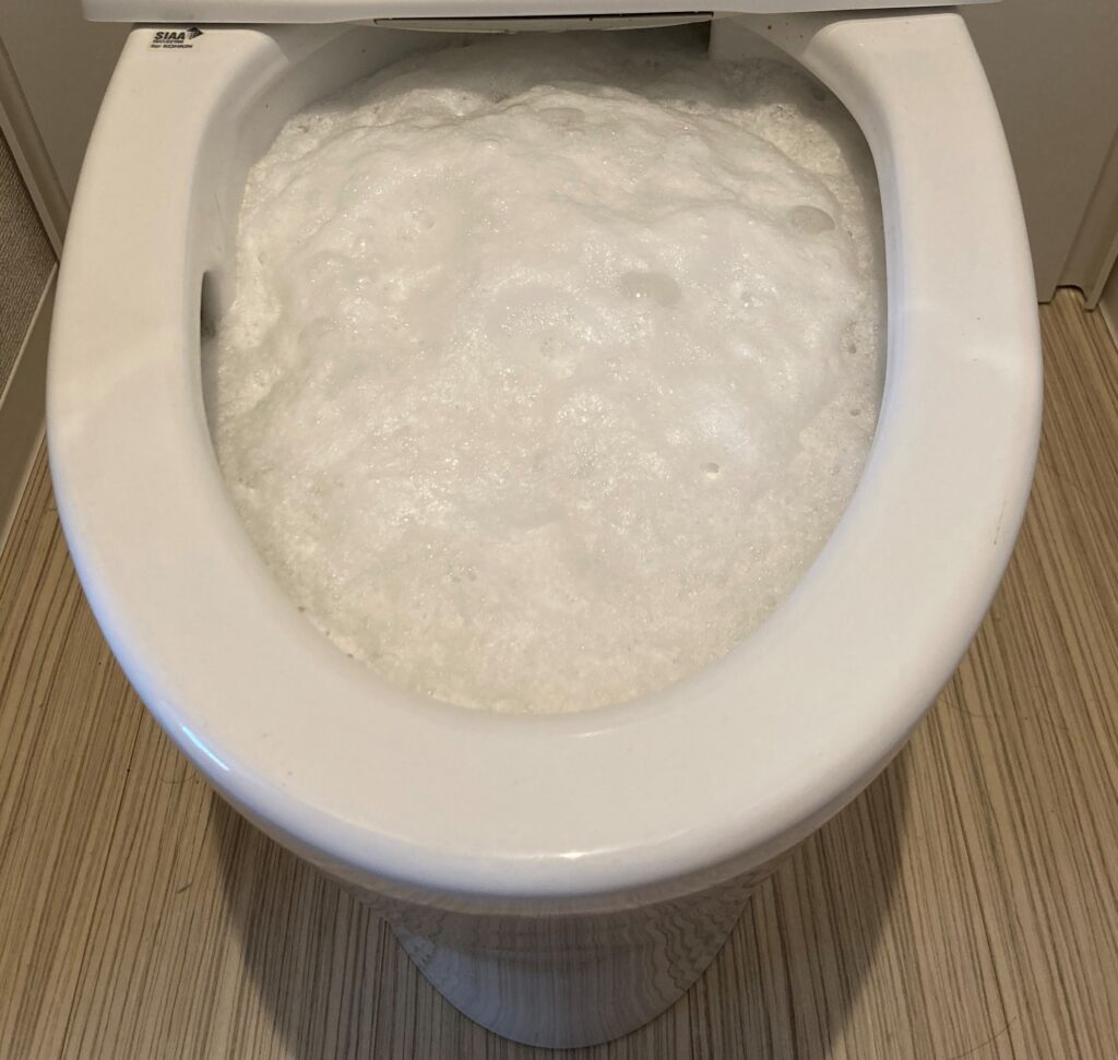 バブルーン投入後のトイレの画像です。